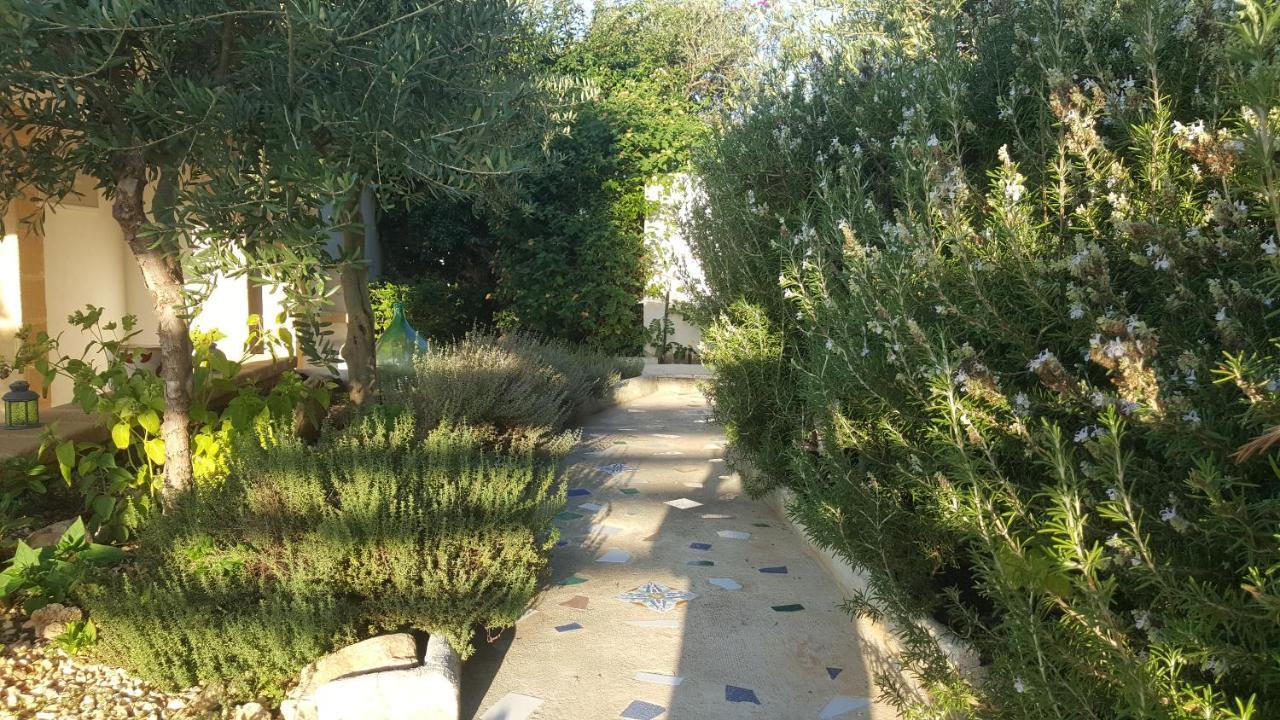 Villa Ceni - Appartamenti Con Camere, Cucina, Wc E Terrazza Sul Mare In Villa Con Piscina, Giardino E Parcheggio Маринелла Экстерьер фото