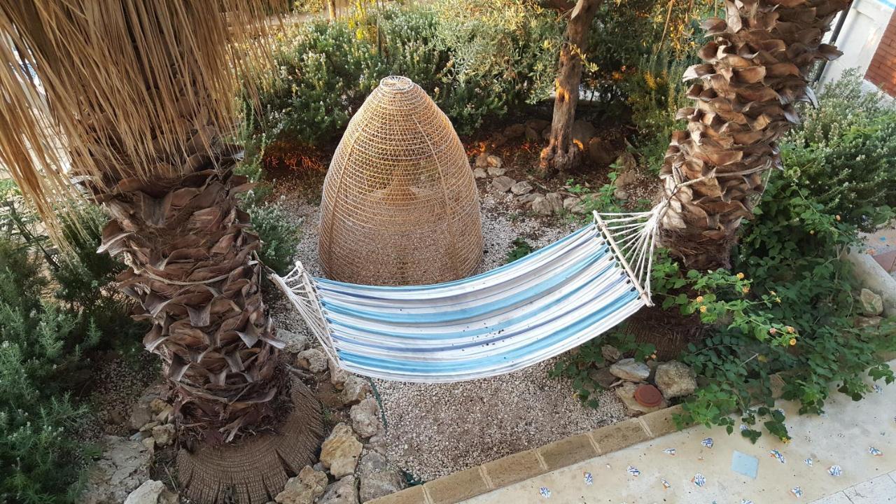 Villa Ceni - Appartamenti Con Camere, Cucina, Wc E Terrazza Sul Mare In Villa Con Piscina, Giardino E Parcheggio Маринелла Экстерьер фото